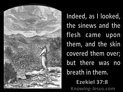 Ezekiel 37:8 As I Looked The Sinues And Flesh Came And The Skin Covered Them But There Was No Breath In Them (black)